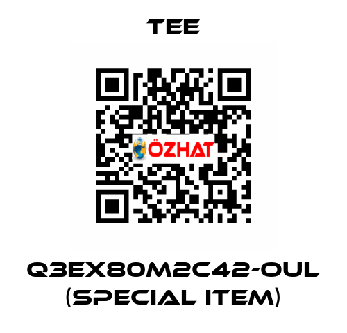 Q3EX80M2C42-OUL (special item) TEE
