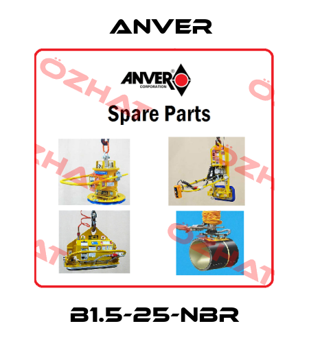 B1.5-25-NBR Anver