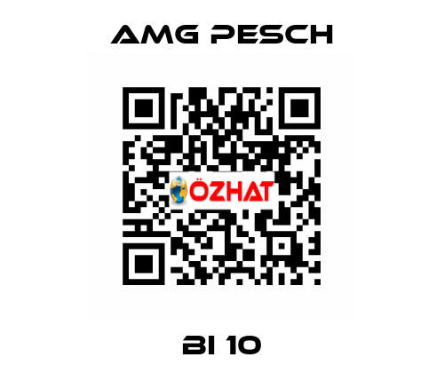BI 10 AMG Pesch