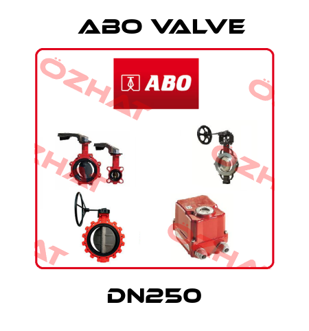 DN250 ABO Valve