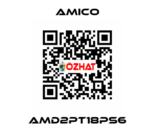 AMD2PT18PS6 AMICO