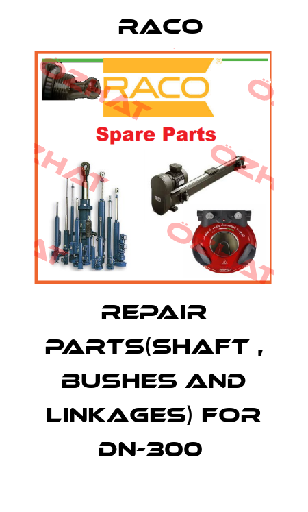 REPAIR PARTS(SHAFT , BUSHES AND LINKAGES) for DN-300  RACO