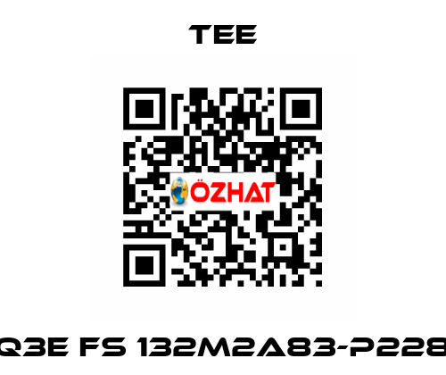 Q3E FS 132M2A83-P228 TEE