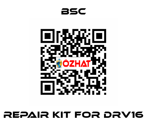 repair kit for DRV16 BSC