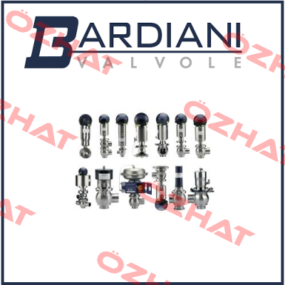 ZVF DN65 EPDM W/W Bardiani Valvole