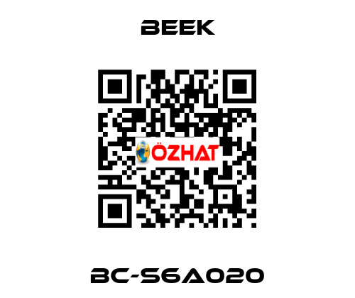 BC-S6A020 Beek