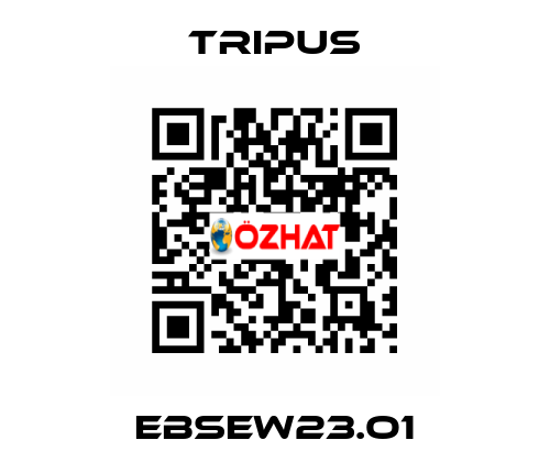 EBSEW23.O1 Tripus