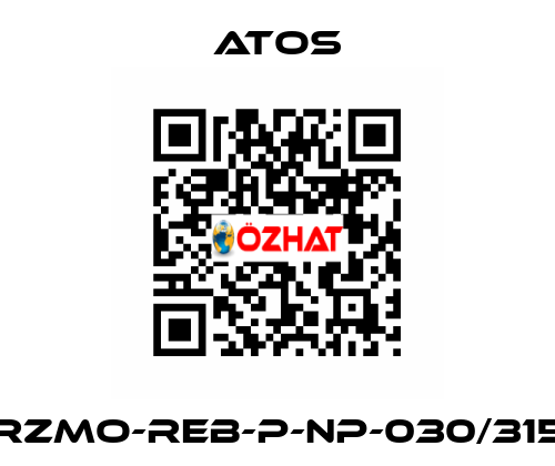 RZMO-REB-P-NP-030/315 Atos