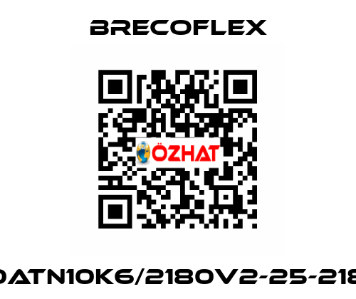 50ATN10K6/2180V2-25-2180 Brecoflex