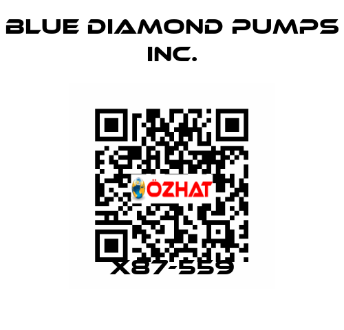 X87-559 Blue Diamond Pumps Inc.