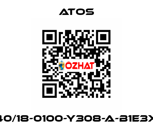 CK-40/18-0100-Y308-A-B1E3X1Z3 Atos