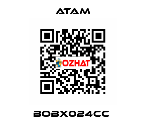 BOBX024CC  ATAM
