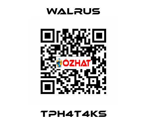 TPH4T4KS Walrus