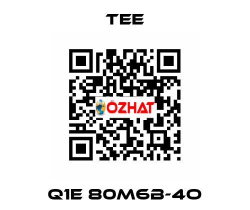 Q1E 80M6B-4O TEE