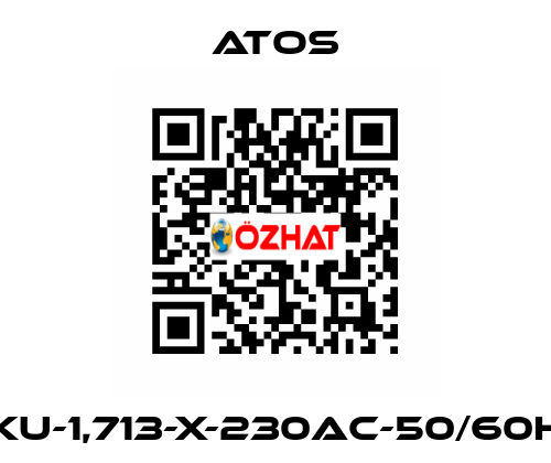 DKU-1,713-X-230AC-50/60HZ Atos