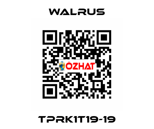 TPRK1T19-19 Walrus