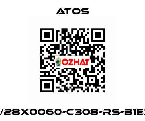 CK-40/28X0060-C308-RS-B1E3X1Z3 Atos