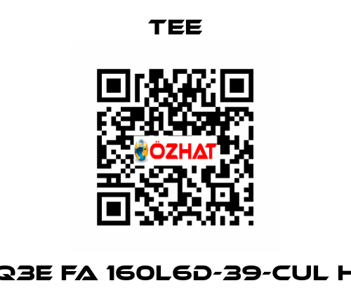 Q3E FA 160L6D-39-CUL H TEE