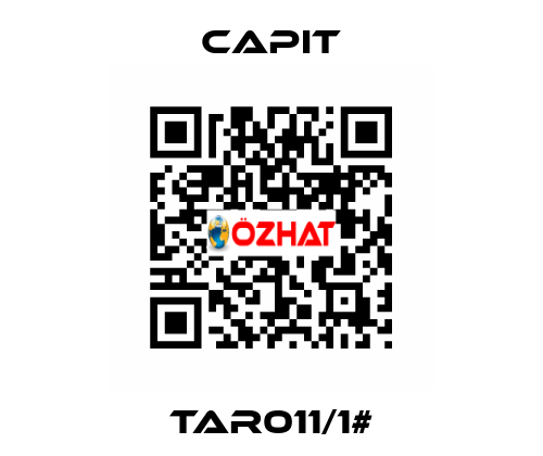 TAR011/1# Capit