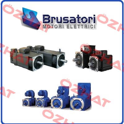 carbon brushes for ML1320S00013 Brusatori