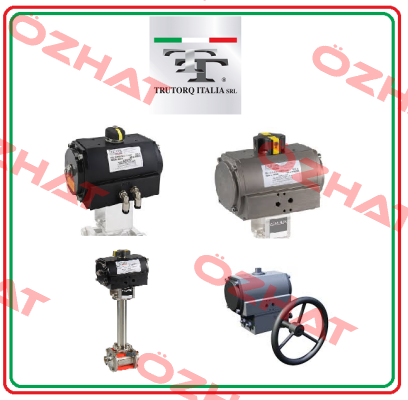 TDA 20 F07/F10 SW17 STD C-Type / TC020A0M Trutorq