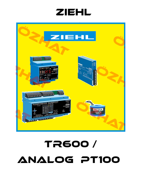 TR600 / ANALOG  PT100  Ziehl