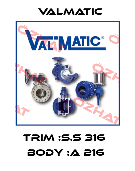 TRIM :S.S 316   BODY :A 216  Valmatic