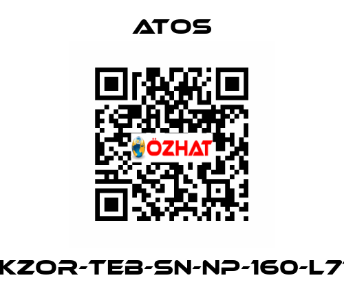 DLKZOR-TEB-SN-NP-160-L71/Q Atos