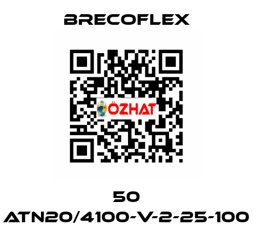 50 ATN20/4100-V-2-25-100 Brecoflex