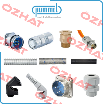 633421006 Hummel