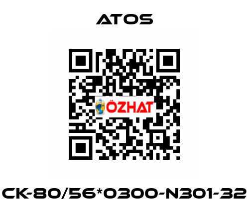 CK-80/56*0300-N301-32 Atos