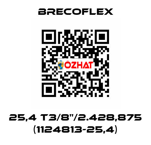 25,4 T3/8"/2.428,875 (1124813-25,4) Brecoflex