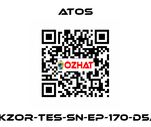 DKZOR-TES-SN-EP-170-D5/F Atos