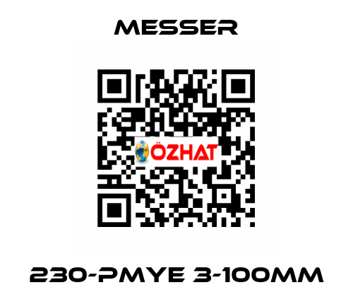 230-PMYE 3-100mm Messer