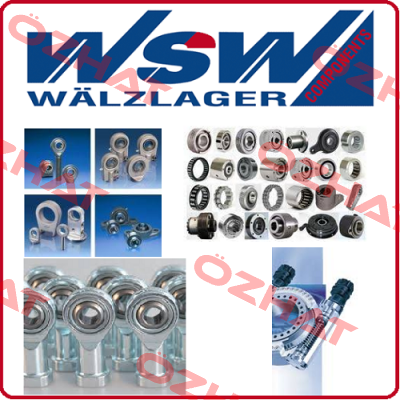 SD100 WSW Waelzlager