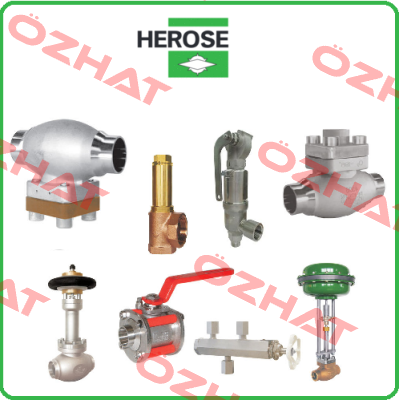 06370.X.0700 Herose