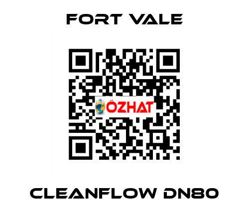 Cleanflow DN80 Fort Vale