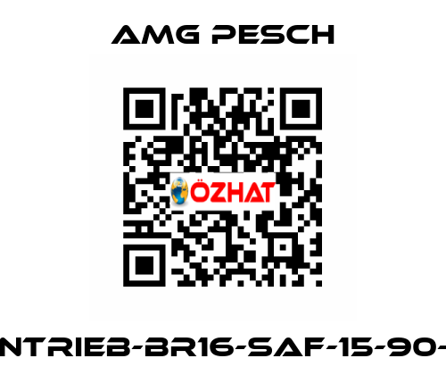AMG-Antrieb-BR16-SAF-15-90-01-n=12 AMG Pesch
