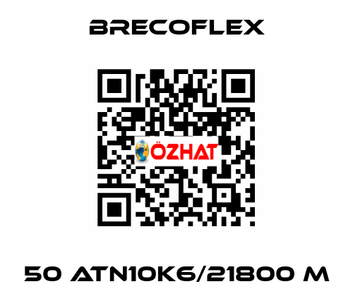 50 ATN10K6/21800 M Brecoflex