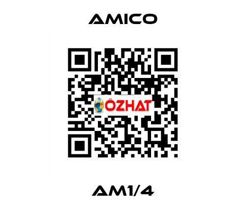 AM1/4 AMICO