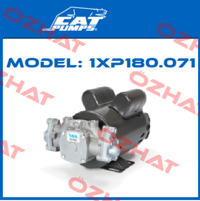Model: 1XP180.071 Cat Pumps