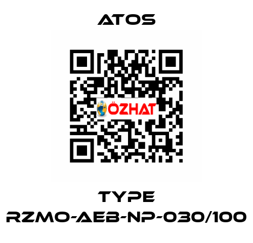 Type RZMO-AEB-NP-030/100 Atos
