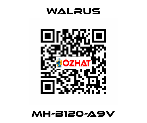 MH-B120-A9V Walrus