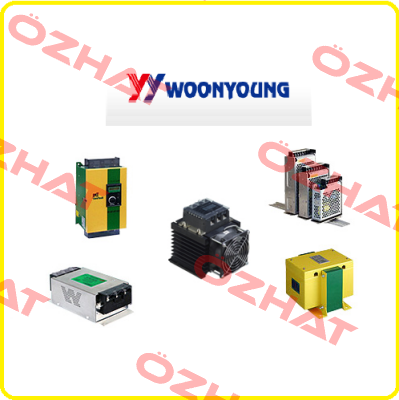 WY42-2KAW AC380/220 2KVA  WOONYOUNG