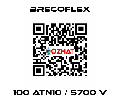 100 ATN10 / 5700 V Brecoflex
