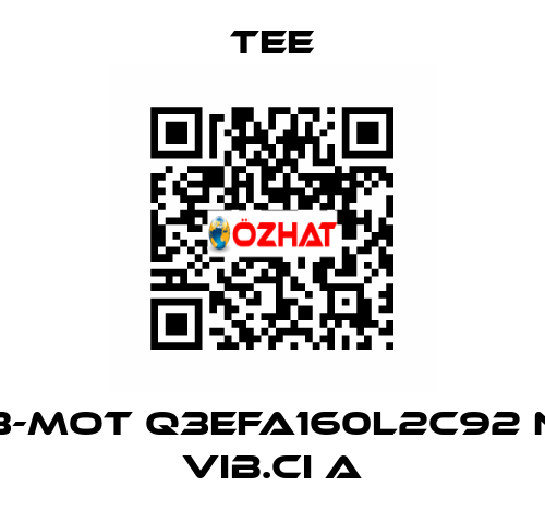3-Mot Q3EFA160L2C92 N Vib.CI A TEE