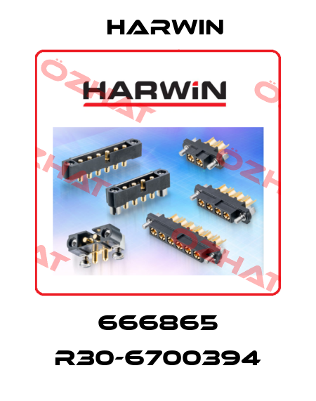 666865 R30-6700394 Harwin