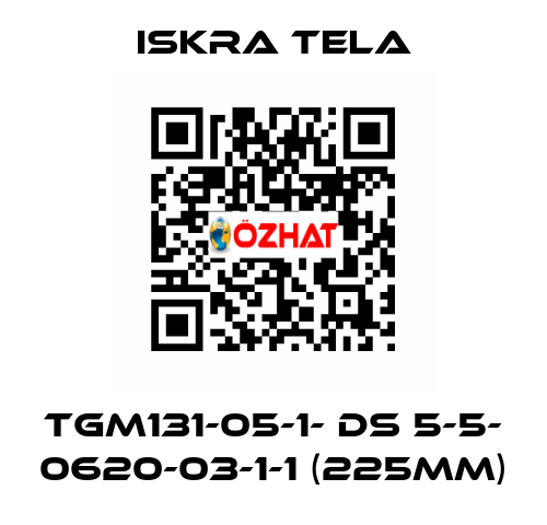 TGM131-05-1- DS 5-5- 0620-03-1-1 (225mm) ISKRA TELA