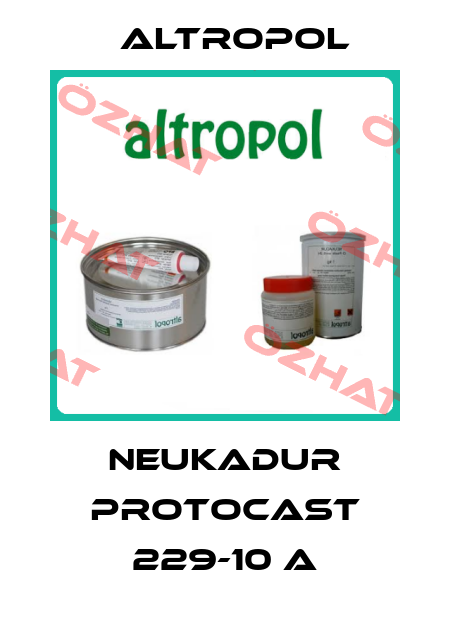 NEUKADUR ProtoCast 229-10 A Altropol