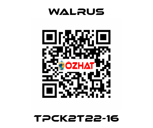 TPCK2T22-16 Walrus